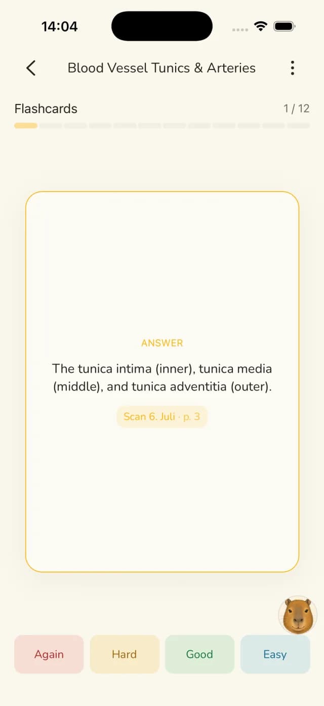 StudyPDF iOS Karteikarte mit Quellenangabe zur Vorlesungsseite
