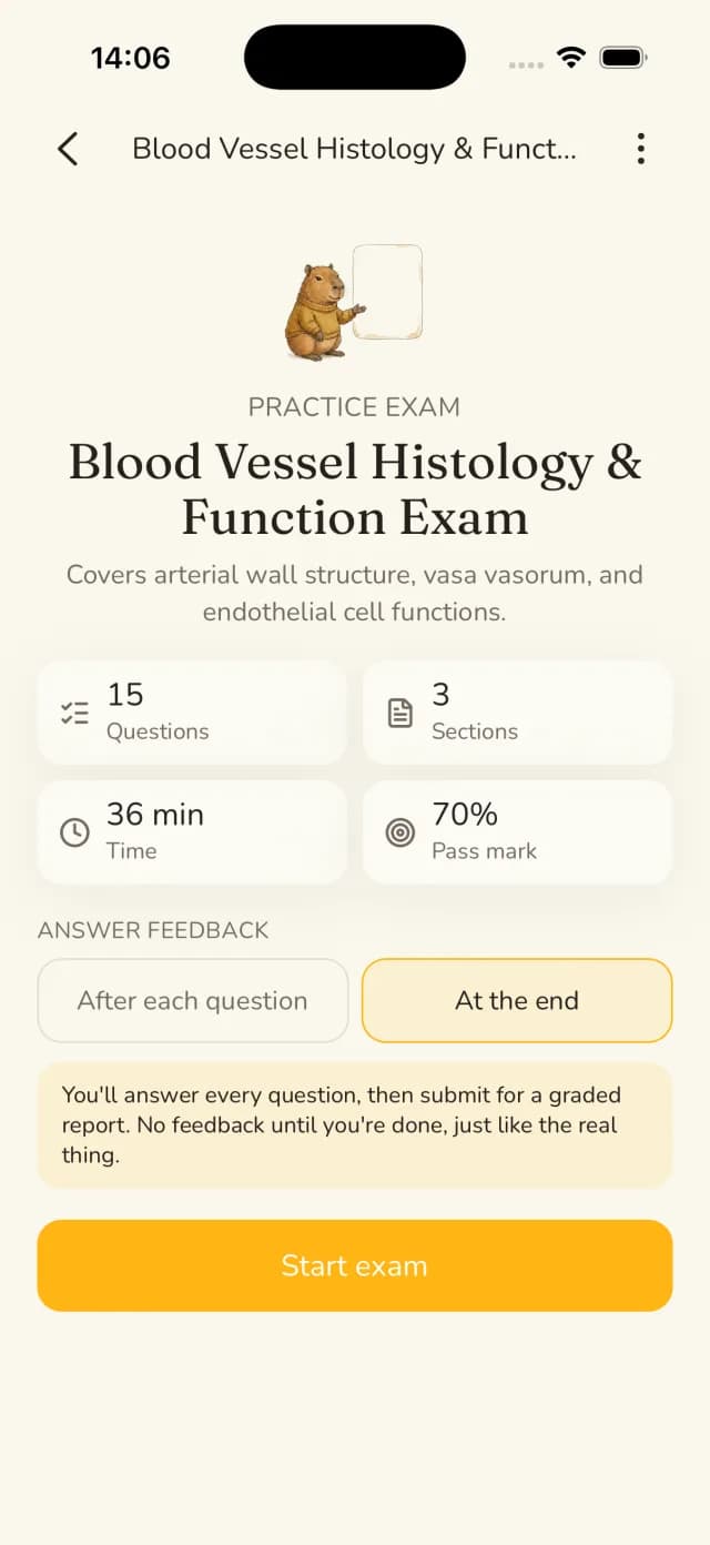 Probeklausur-Screen in der StudyPDF iOS App