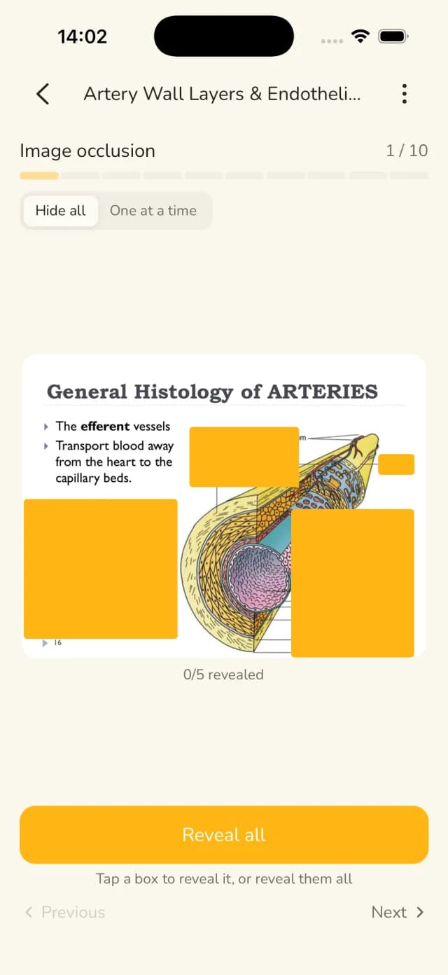 Image-Occlusion-Karte mit verdeckten Labels in der StudyPDF iOS App