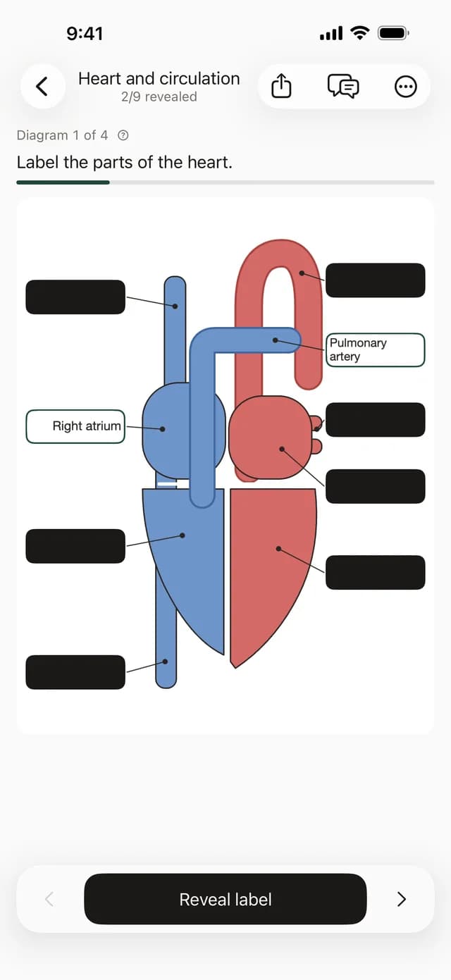 StudyPDF app showing a heart diagram with some labels masked and others revealed