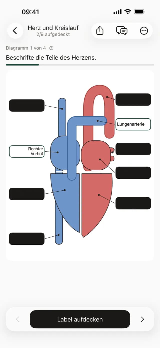 StudyPDF App mit einem Herzdiagramm, bei dem einige Labels verdeckt und andere aufgedeckt sind